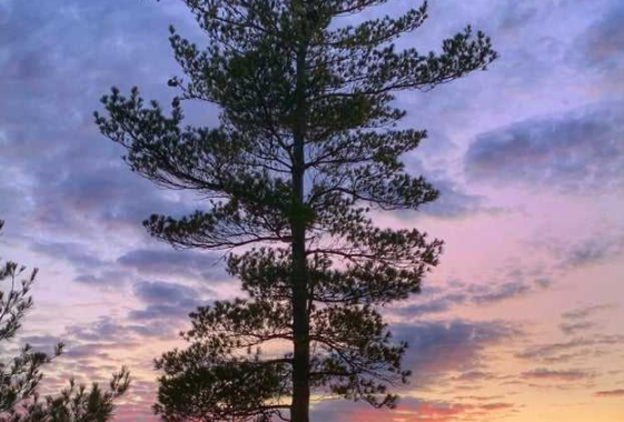 重慶智能家居加盟：相比傳統(tǒng)家居，智能家居的優(yōu)勢是什么？