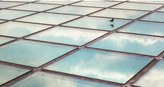 鋁扣板吊頂好還是玻璃吊頂好？