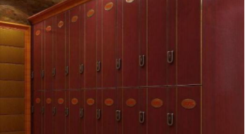 浴室全塑更衣柜：浴室更衣柜有什么材質(zhì)？浴室更衣柜電子感應鎖好不好？