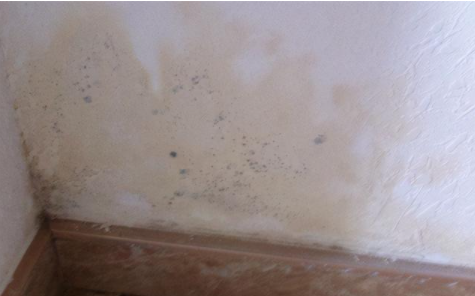 【翻新墻面除霉】墻面返潮是什么原因？墻面返潮怎么處理
