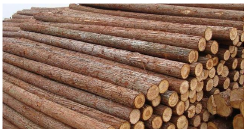 【臨沂生態(tài)板排名】家居裝修選擇生態(tài)板 哪種板材最好你知道嗎？